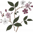 Wildwood Thicket Flowers Branch 1