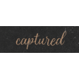 Wildwood Thicket Captured Word Art