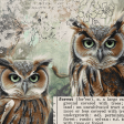 Wildwood Thicket Owls 4x4 Journal Card