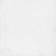 Wildwood Thicket Solid White Paper