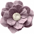 Charlotte's Farm Element flower lavender