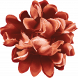 Charlotte's Farm Element flower red 2