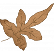 Charlotte's Farm Element leaf brown