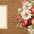 Charlotte's Farm Apple Blossom 4x4 Journal Card
