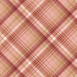 Charlotte's Farm Plaid 2