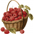 Charlotte's Farm Mini basket raspberries