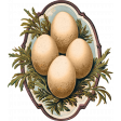 Charlotte's Farm Eggs 2