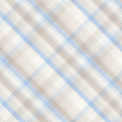 Fancy A Cup Plaid Paper 10