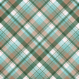 Simply Sweet Plaid Paper 08