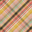 Schoolhouse Plaid Paper 06