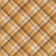 Woodland Tea Party Plaid Paper 05