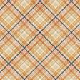 Woodland Tea Party Plaid Paper 14