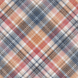 Winter Woods Plaid Paper 04