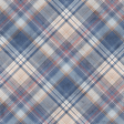 Winter Woods Plaid Paper 10