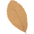 Cocoa and Shortbread Tan Leaf