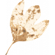 Cocoa and Shortbread White and Tan Leaf