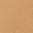 Cocoa & Shortbread Tan Solid Paper 09