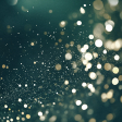 Evergreen Dark Green Sparkle Bokeh Paper