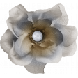 Evergreen flower gray