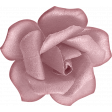Evergreen  flower pink