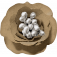 Evergreen flower tan
