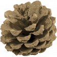 Evergreen pinecone gold