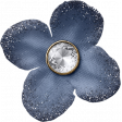 Evergreen Blue Flower