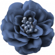 Evergreen Blue Flower 2