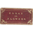 Evergreen Vintage Ephemera Label 