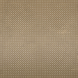 Evergreen Polkadots Ombre Paper