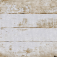 Evergreen Wood Paper Alternate