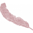 Evergreen Pink Feather 