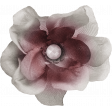 Evergreen Red and White Flower