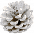 Evergreen Glitter Pinecone 