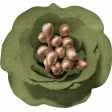 Cherish Mixed Media Olive Green Flower