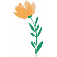 Countryside Yellow Flower Illustration 