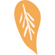 Countryside Yellow Leaf Illustration 