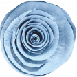 Countryside Light Blue Rolled Flower 2
