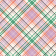 Countryside Plaid Paper 4