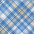 Countryside Plaid Paper 10