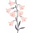 Spring for Coffee Light Pink Bluebells