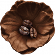 Spring for Coffee Coffee Flower