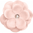 Spring for Coffee Light Pink Flower