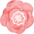 Spring for Coffee Pink Flower