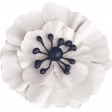 Spring for Coffee White Flower