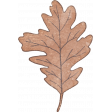 Spring for Coffee Brown Leaf