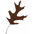 Spring for Coffee Brown Oak Leaf