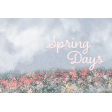 Spring for Coffee Journal Card spring days 4x6