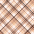 Spring for Coffee Plaid Paper 11