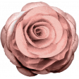 Surrender Mixed Media Light Pink Rose